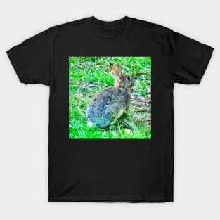 The Wild Rabbit T-Shirt